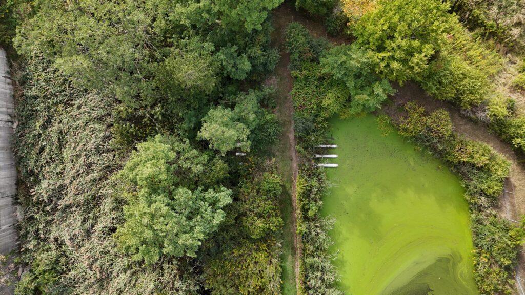 Drone image showing an algae-covered stormwater pond with drainage infrastructure, used to manage stormwater runoff from an industrial site to maintain environmental compliance.